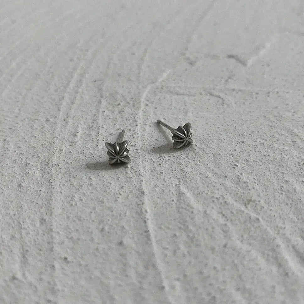 A pair of earrings